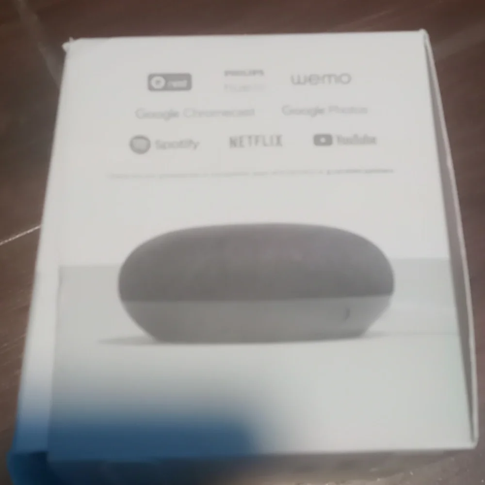 Google home Mini (Charcoal) old